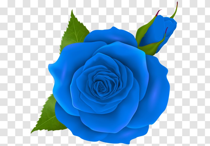 Blue Rose Flower Clip Art - Rainbow Transparent PNG