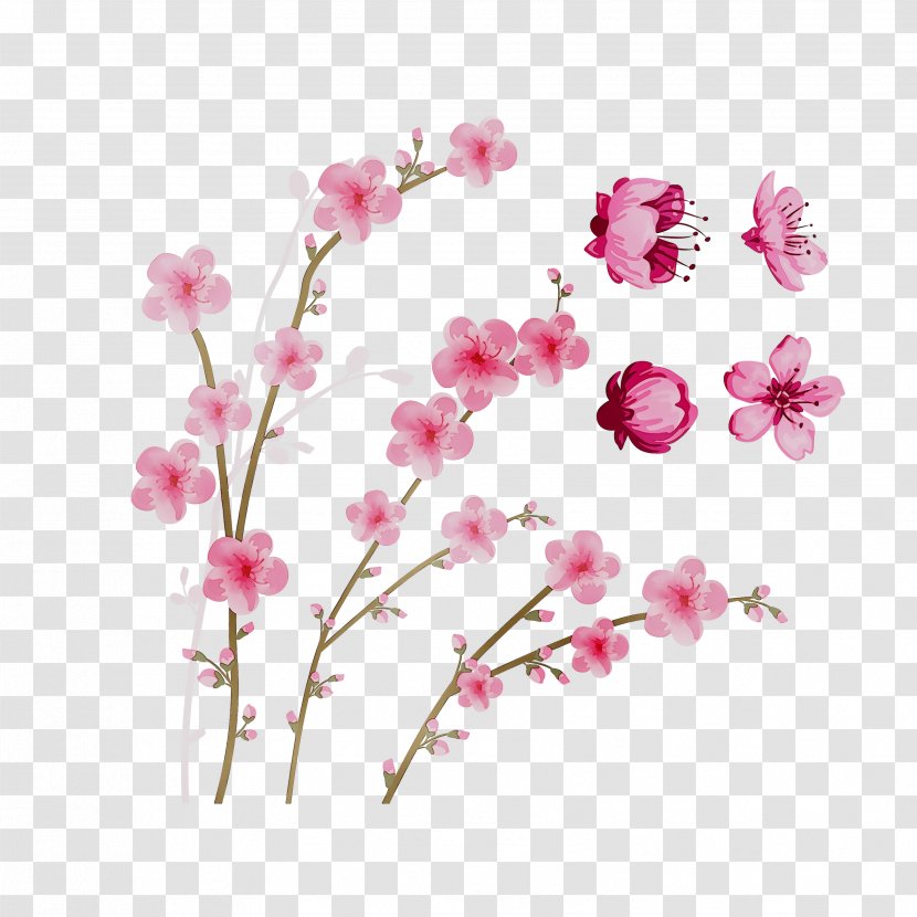 Moth Orchids Cut Flowers Floral Design - Petal Transparent PNG