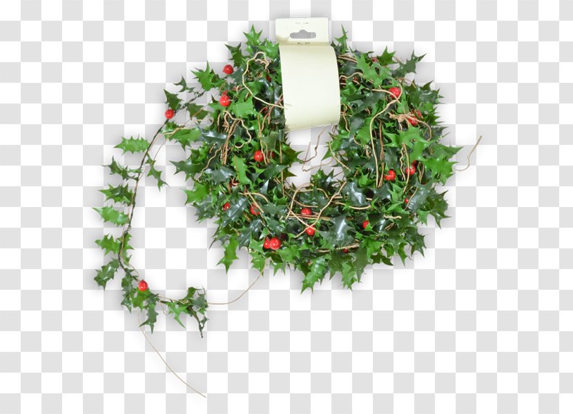 Wreath Twig Christmas Ornament Aquifoliales - Tree Transparent PNG