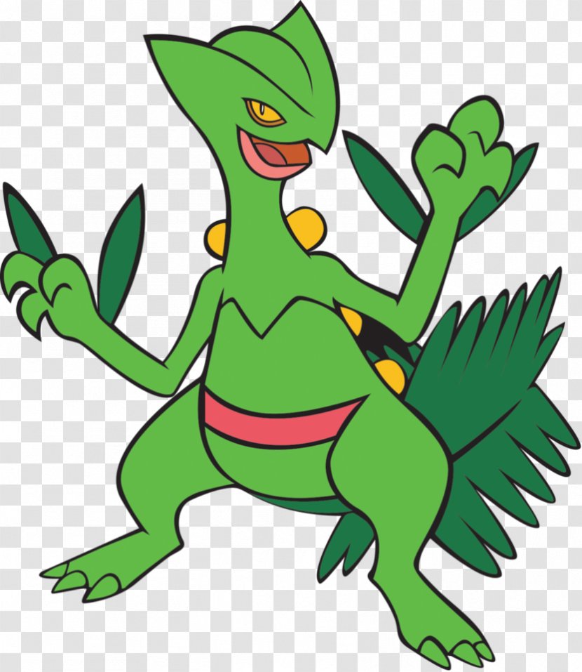 Ash Ketchum Pokémon Ruby And Sapphire Pikachu Sceptile Types - Amphibian Transparent PNG