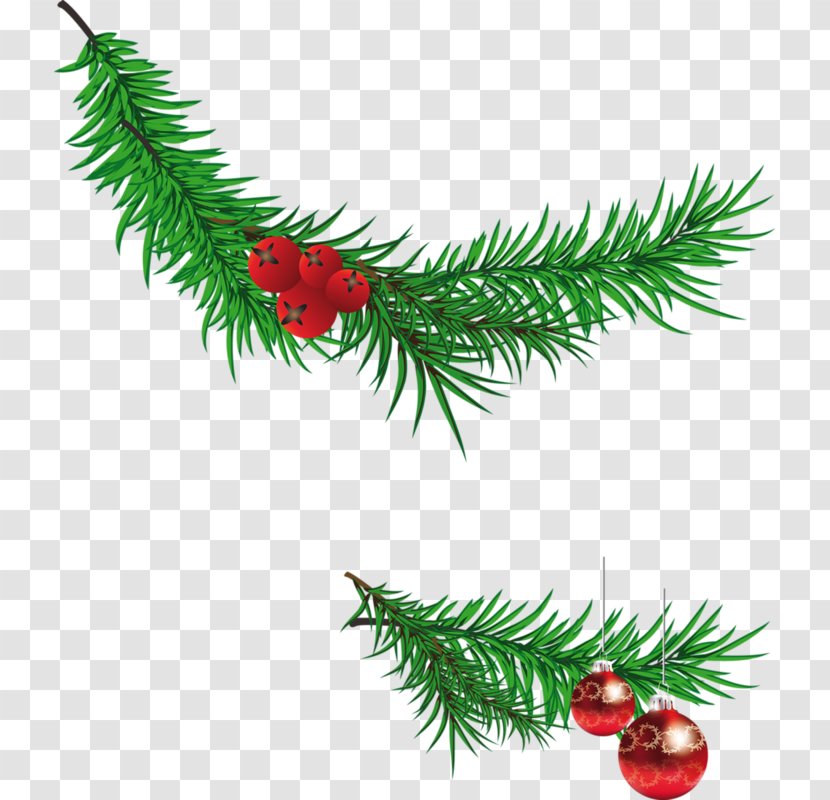 Santa Claus Christmas Tree Branch Clip Art - Conifer Cone - Banners Transparent PNG