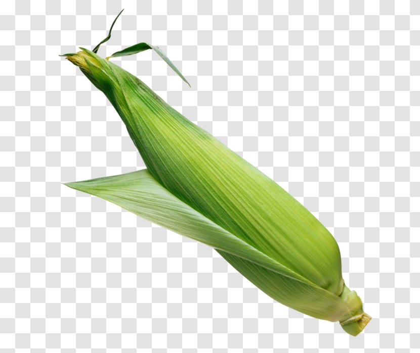 Corn On The Cob Sweet Popcorn Flint Transparent PNG