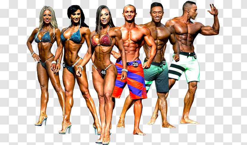 Fitness And Figure Competition Salt Lake City International Federation Of BodyBuilding & 2015 Mr. Olympia National Physique Committee - Bodybuilding - Shawn Ray Asia Transparent PNG