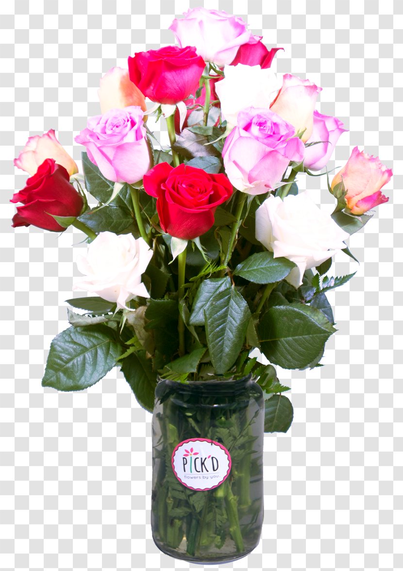 Garden Roses Cabbage Rose Flowerpot Cut Flowers - Family - Small Fresh Bow Transparent PNG