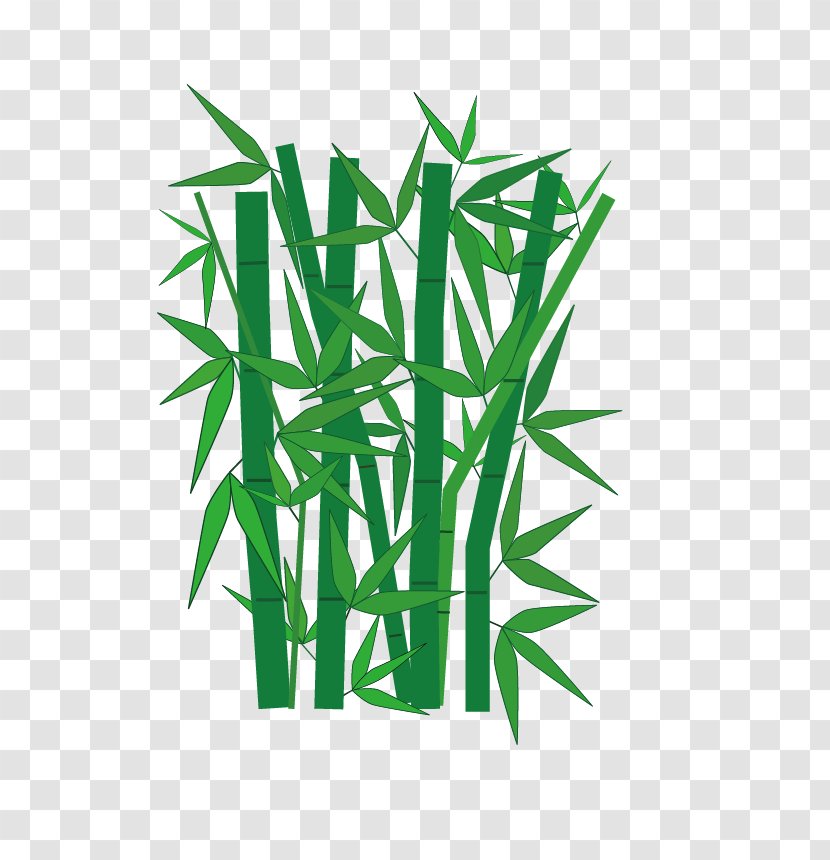 Bamboo Clip Art - Commodity Transparent PNG