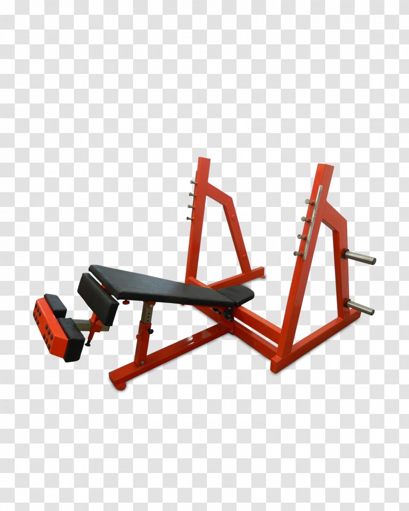 Exercise Equipment Bench Machine Fitness Centre Weight Training - Weightlifting - Gymnastics Transparent PNG
