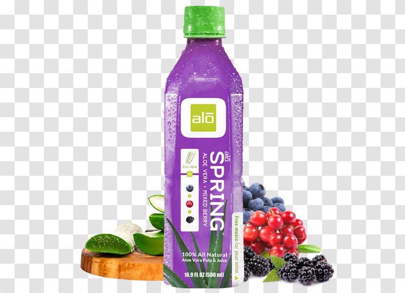 Aloe Vera Juice Drink Food Purple Mangosteen - Pulp Transparent PNG