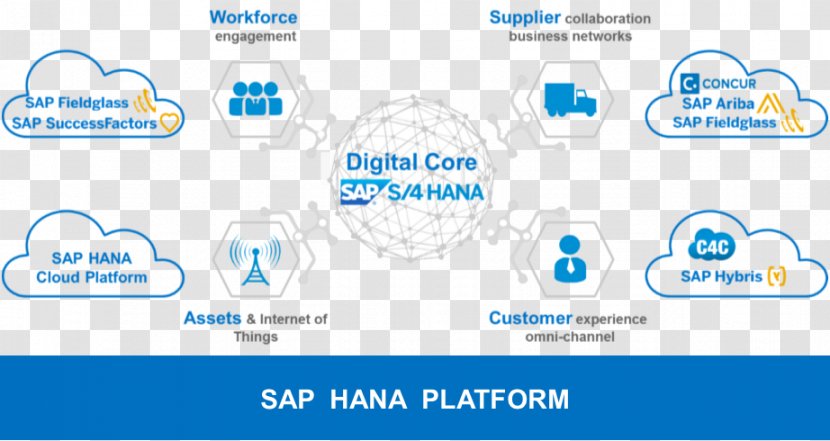 SAP S/4HANA HANA Fieldglass SE Marketing - Organization Transparent PNG