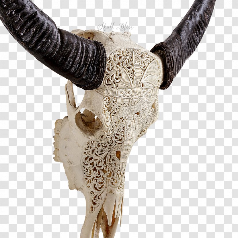 Horn Animal Skulls Antler Bone - Deer - Buffalo Skull Transparent PNG