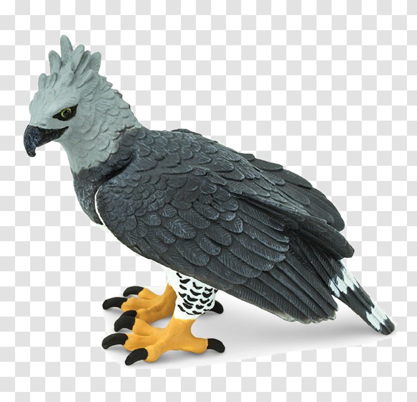 Harpy Eagle Safari Ltd Bald Bird Transparent PNG