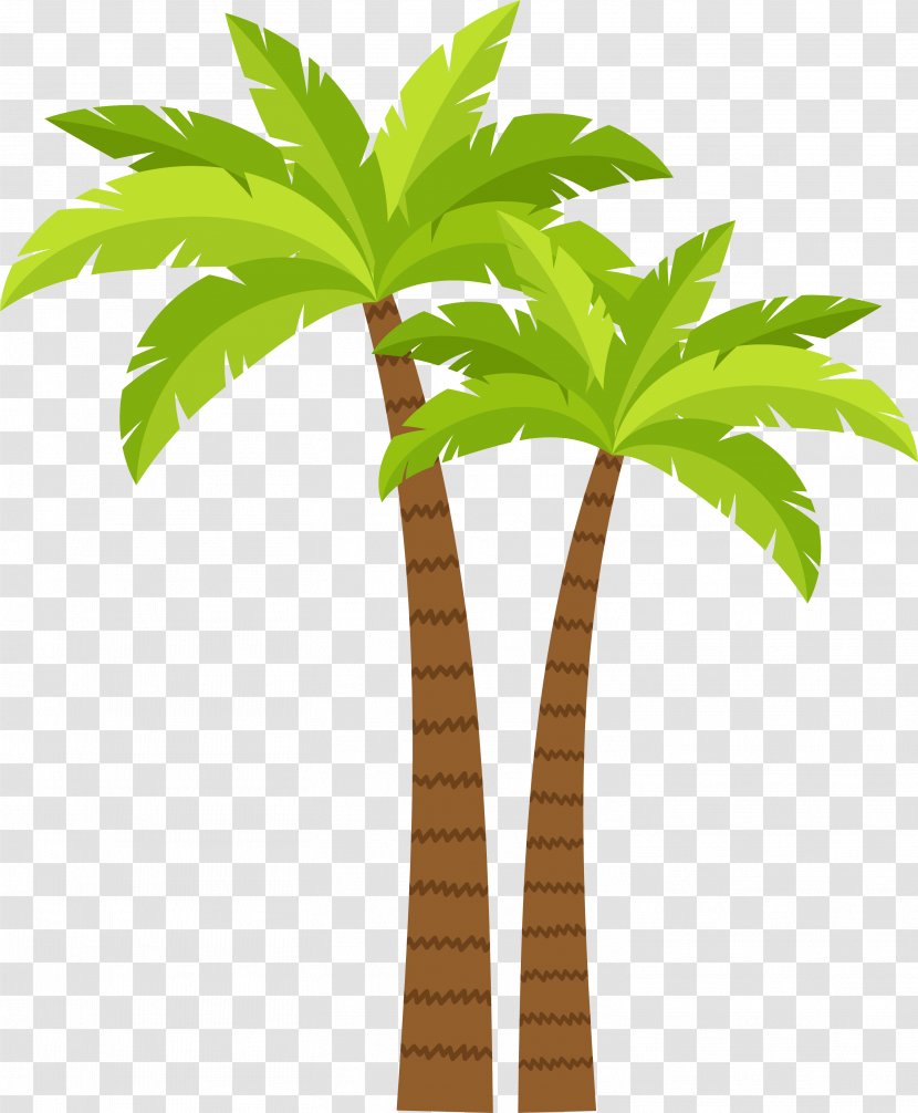 Arecaceae Coconut Tree - Decoration Pattern Transparent PNG