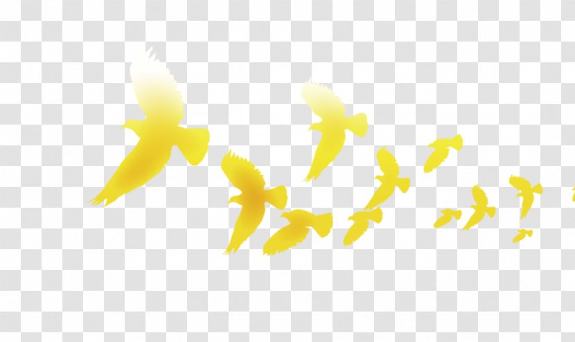 Columbidae Graphic Design Yellow Columba - Floating Material - Flying Pigeons Transparent PNG