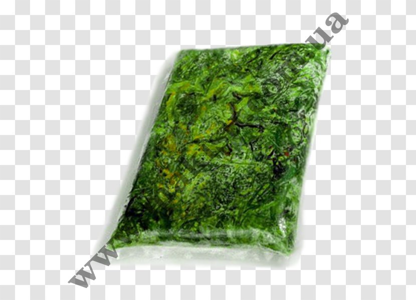 Hiyashi Chūka Wakame Leaf Vegetable Salad Price - Aonori Transparent PNG