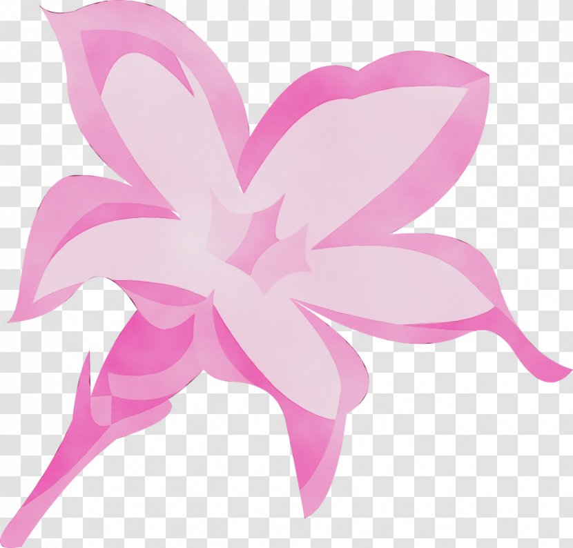 Pink Petal Flower Plant Clip Art - Pedicel Magenta Transparent PNG