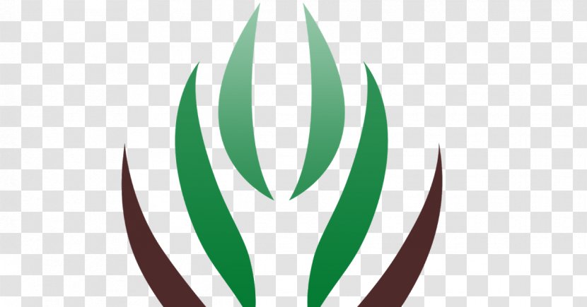 Logo Green Leaf Line Font - Grass Transparent PNG