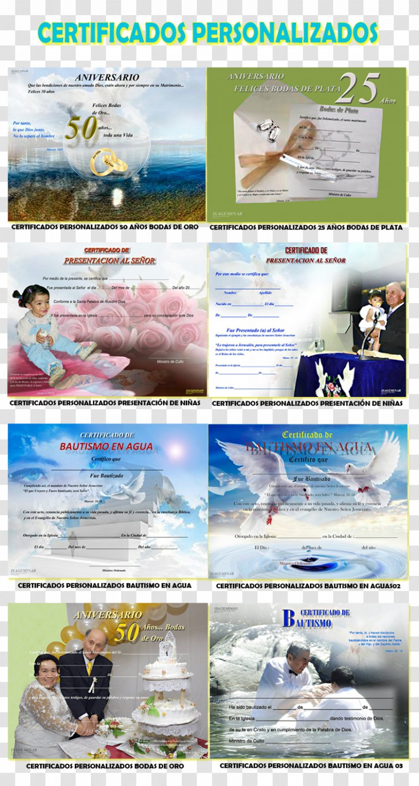 Web Page Certificado Digital Text Diploma Akademický Certifikát - Image Processing - English Certificate Transparent PNG