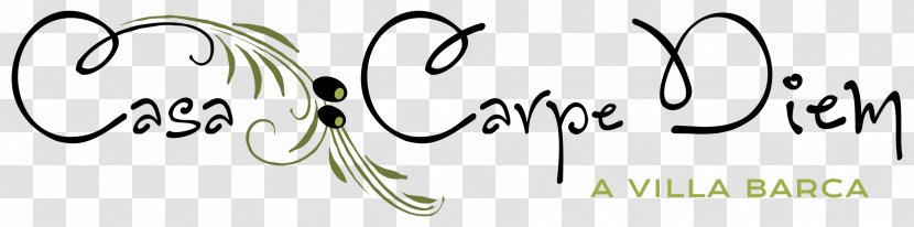 Calligraphy Brand Logo Font - Cartoon - Carpe Diem Transparent PNG