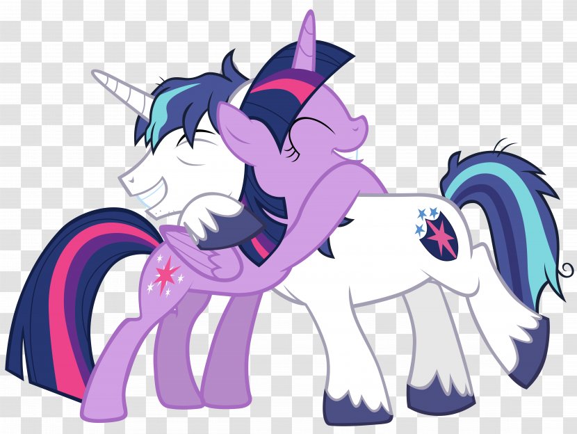 Pony Shining Armor Twilight Sparkle Princess Cadance The Crystalling Pt. 1 - Frame - Vector Transparent PNG