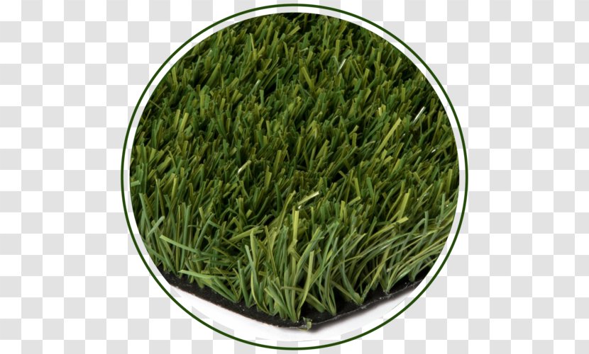 Romeritos Gyokuro Commodity - Grass - Metro Synthetic Turf Perth Transparent PNG