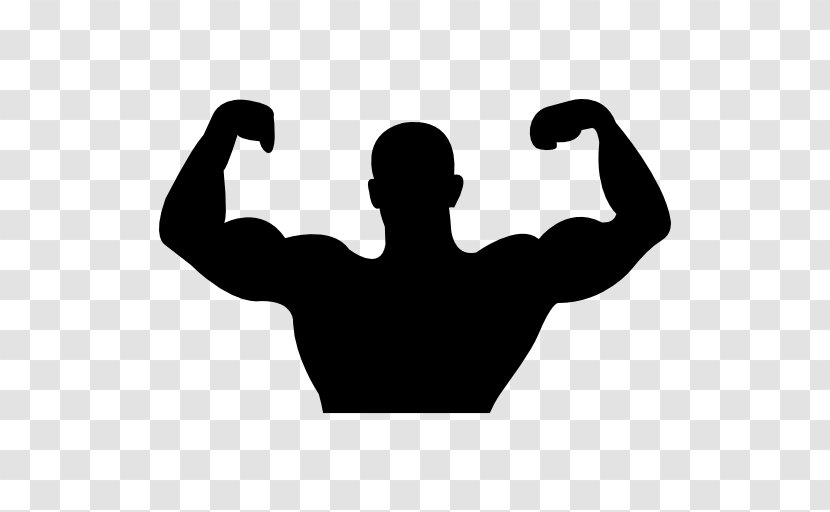Muscle Arm Biceps - Silhouette Transparent PNG