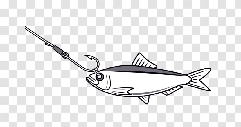 Zubok's Bait Tackle Marine SECU Commons Fish Heads Black & White - Taylor - M Product DesignGoogle Needle And Thread Transparent PNG