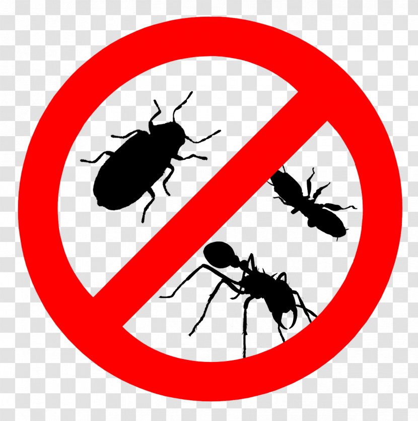 Cockroach Pest Control Bed Bug Termite - Integrated Management Transparent PNG