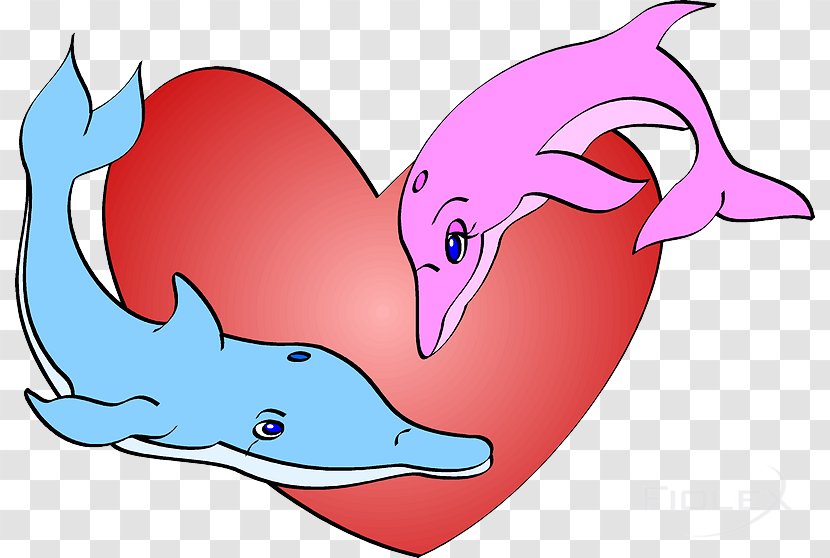 Whales, Dolphins And Porpoises Clip Art Illustration - Cetaceans - Gif Love Transparent PNG