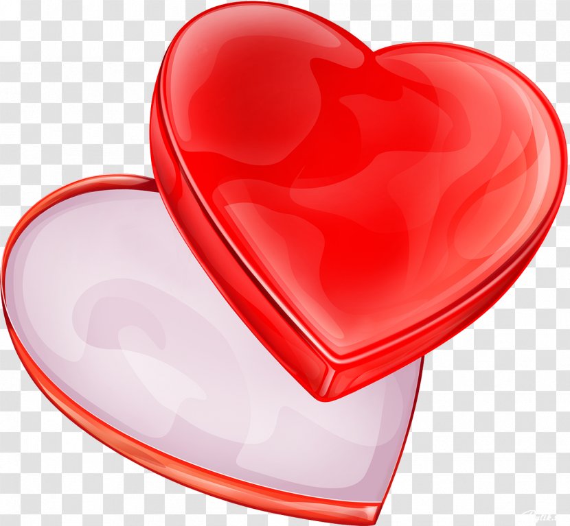 Love Bible Heart Clip Art - Red Transparent PNG