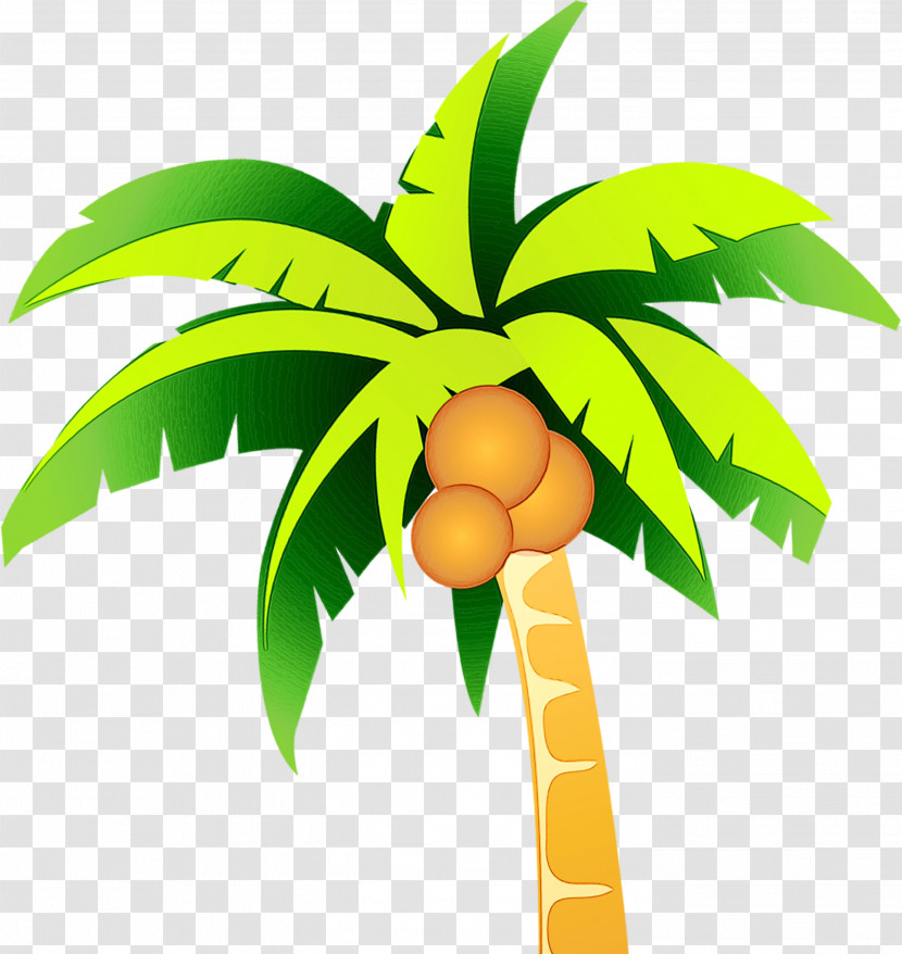 Palm Tree Transparent PNG