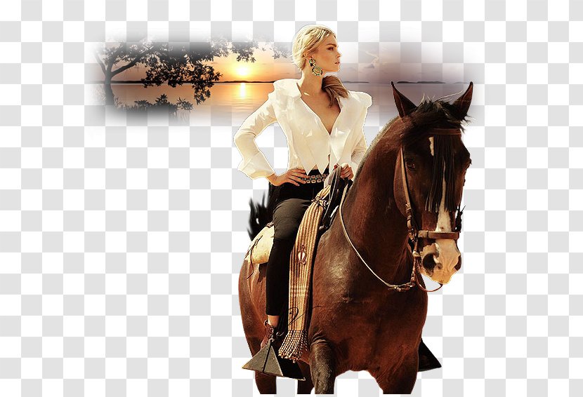 Horse Fashion Equestrian Photography - Saddle - White Swan Transparent PNG