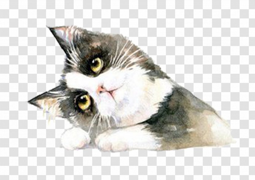 British Shorthair American Ragdoll Curl - Catgirl - Hand-painted Cat Transparent PNG