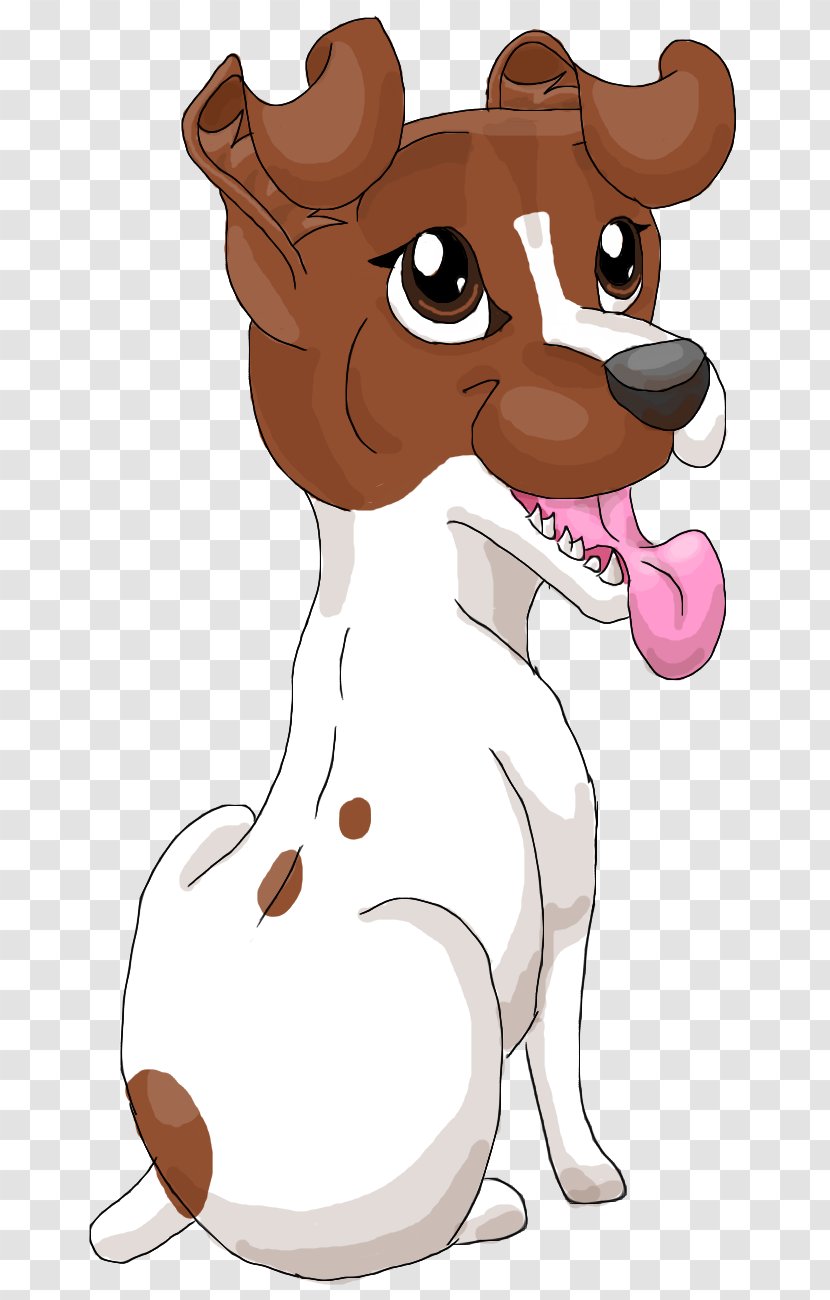 Jack Russell Terrier Puppy Drawing Canidae - Whiskers Transparent PNG