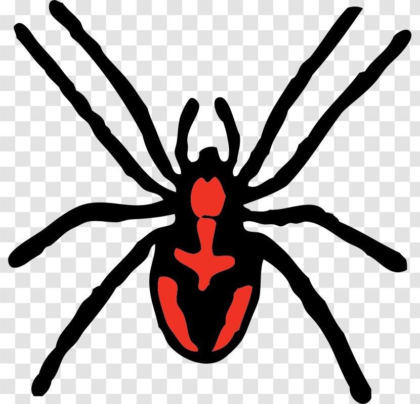 Redback Spider Clip Art - Wing - Red Spiders Pictures Transparent PNG