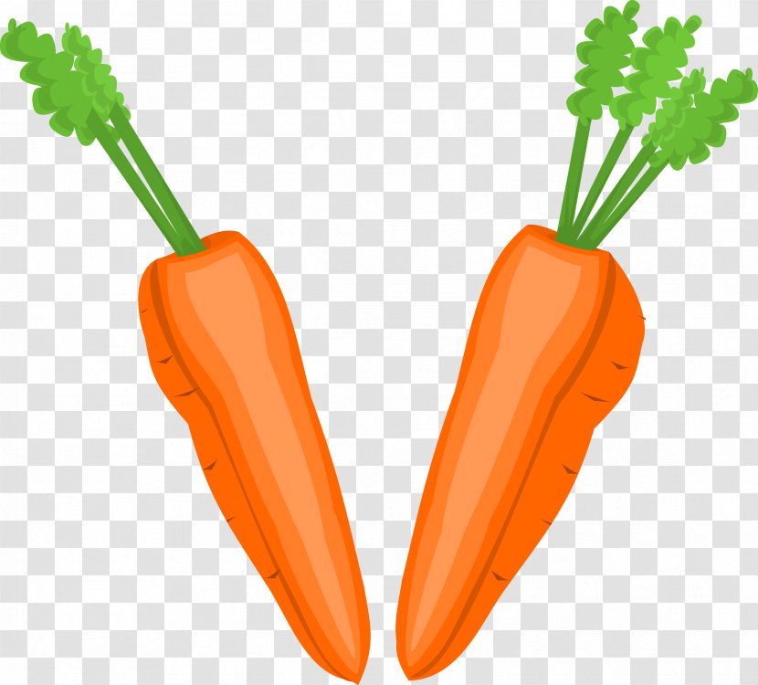Root Vegetables Fruit Carrot Clip Art - Stock Photography - Halves Cliparts Transparent PNG