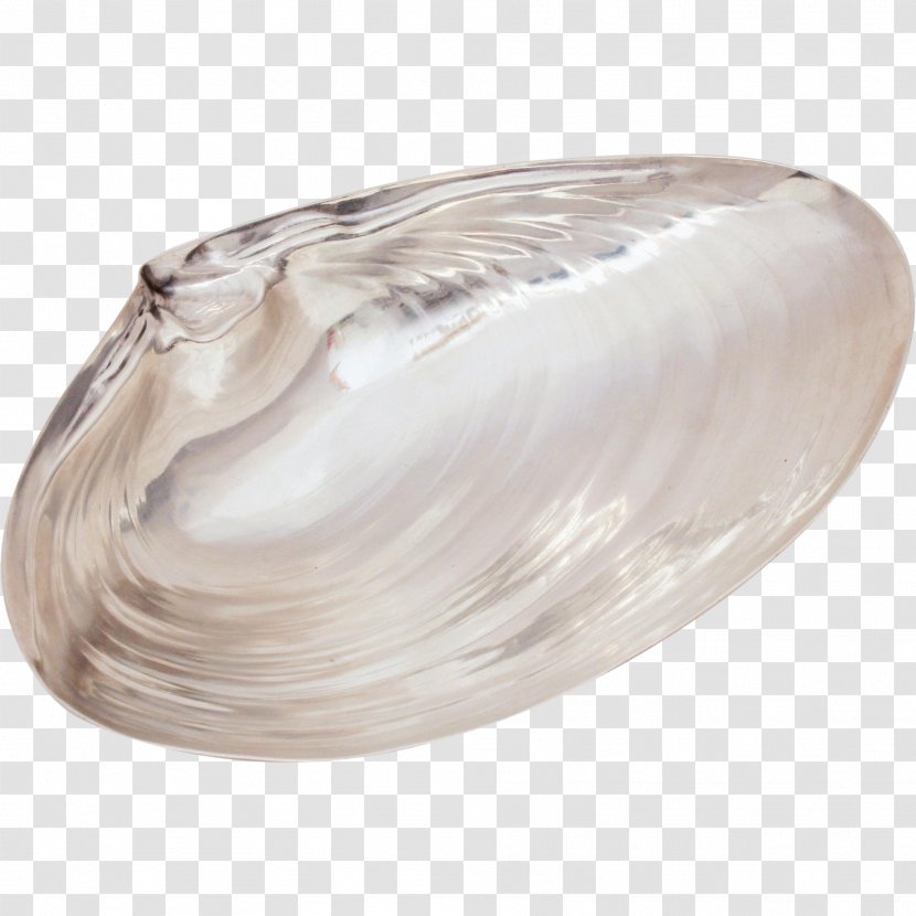 Clam Mussel Oyster Silver Scallop - Seashell Transparent PNG