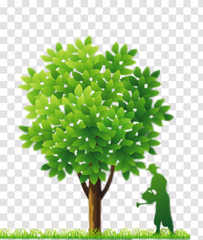 Fort Worth Euclidean Vector - Theobroma Cacao - Green Tree Silhouette Figures Watering Arbor Element Transparent PNG