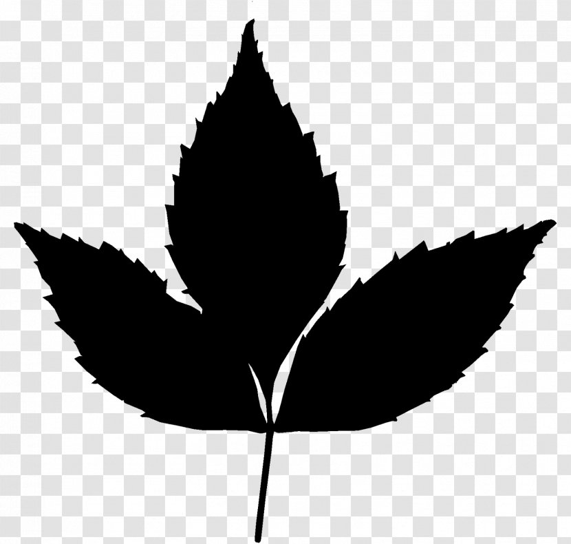 Maple Leaf T-shirt Image Plants - Plant Stem Transparent PNG