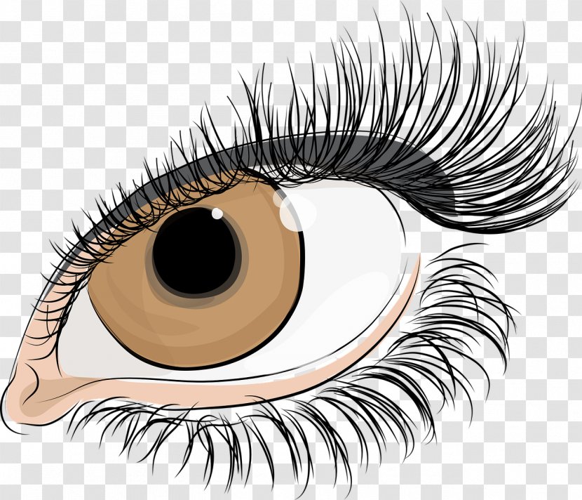 Eyelash Extensions Facial Cosmetics - Cartoon - Eye Transparent PNG