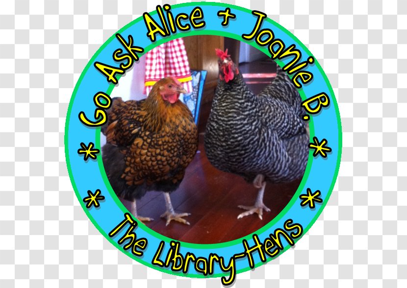 Chicken As Food - Go Ask Alice Transparent PNG