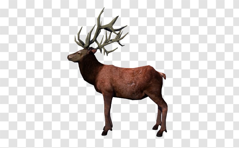 Reindeer Elk Antler Arcane Legends Transparent PNG