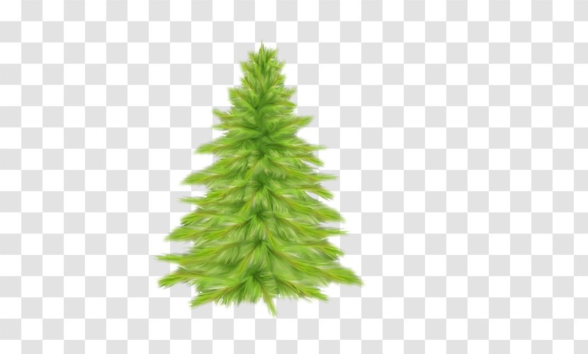 Christmas Tree Spruce Fir - Conifer Transparent PNG