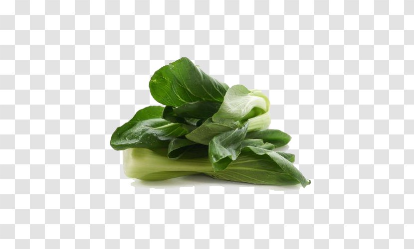 Choy Sum Spinach Romaine Lettuce Spring Greens Leaf Vegetable - Delicious Cabbage Transparent PNG