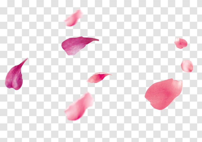 Petal Pink - Peach Petals Floating Transparent PNG