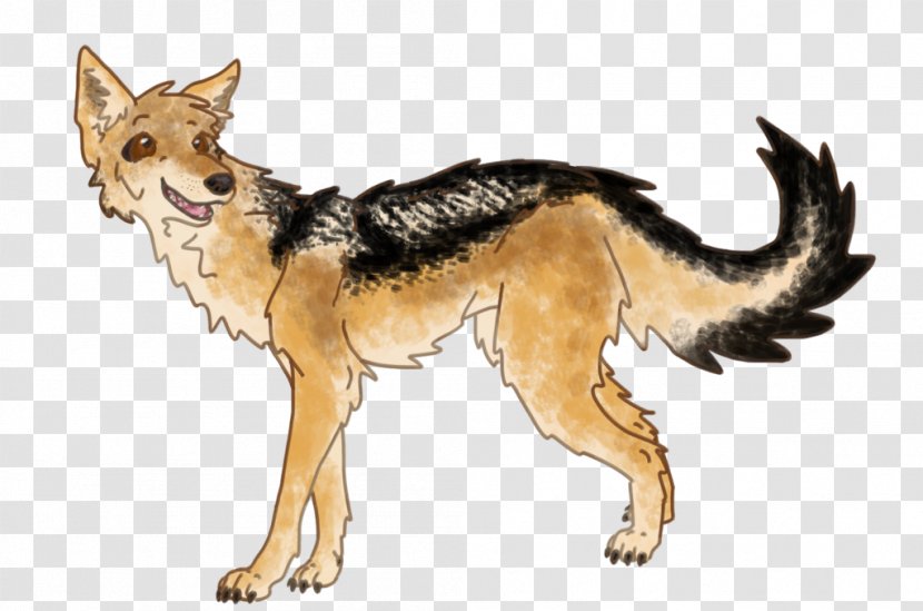 Dog Breed Red Fox Coyote Jackal - Carnivoran Transparent PNG