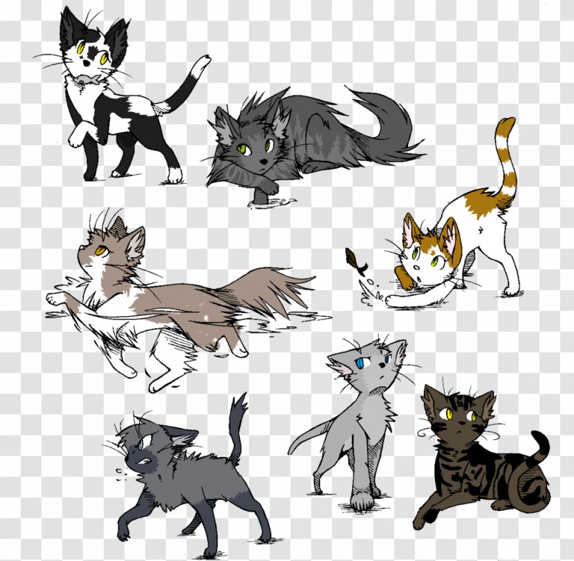 Kitten Whiskers Cat Canidae Paw - Fauna Transparent PNG