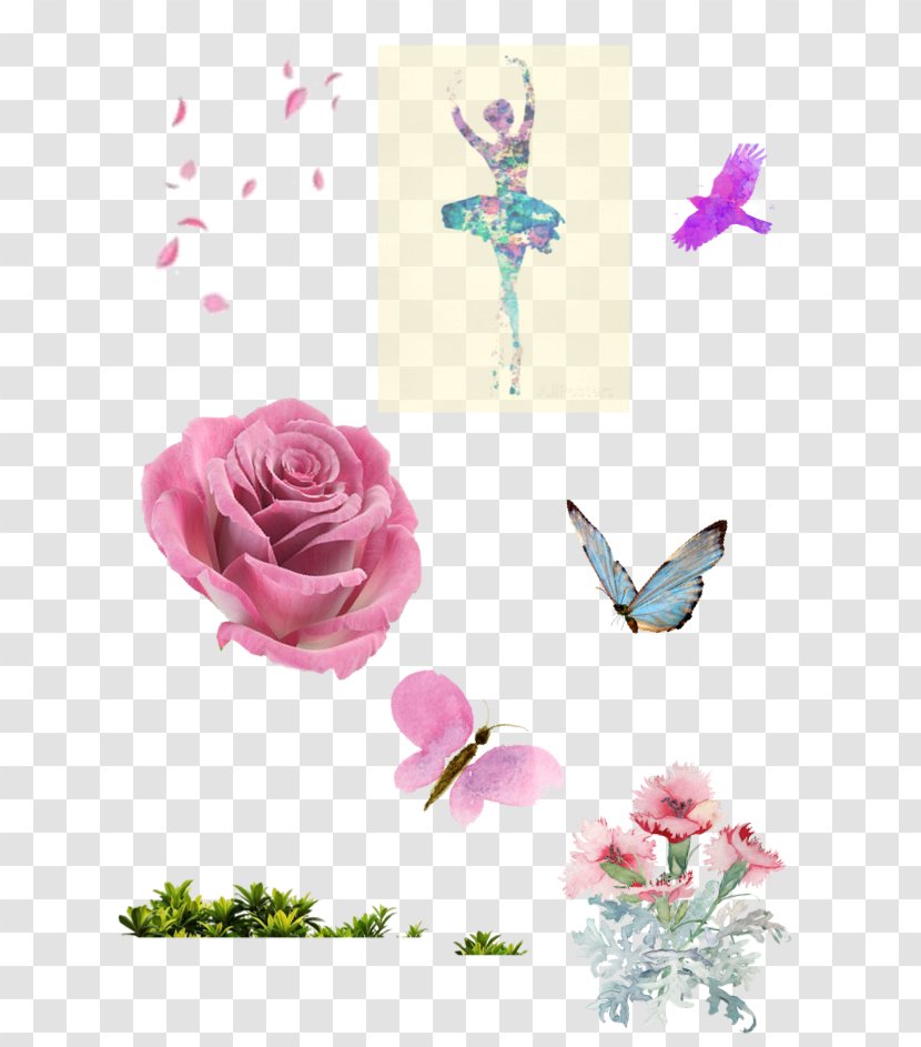 Floral Design Ballet Dancer Art Rose Family Watercolor Painting - Flower - Brazil Transparent PNG