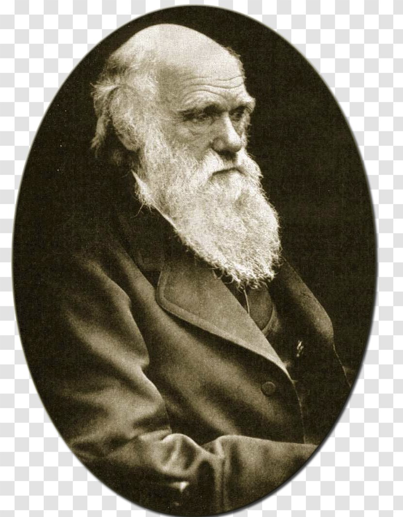 On The Origin Of Species Voyage Beagle Young Charles Darwin Evolution Darwinism - Gentleman Transparent PNG