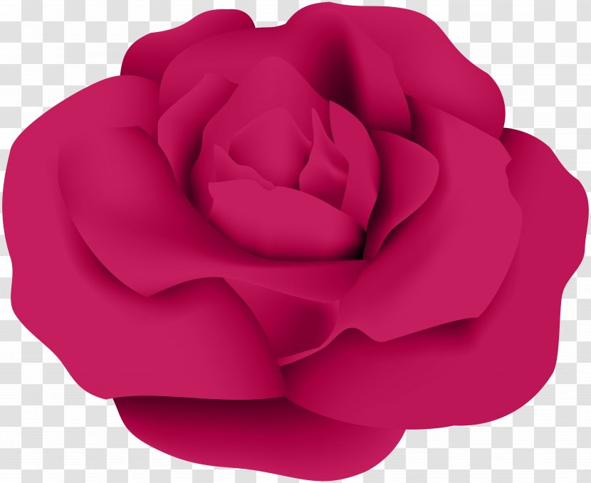 Garden Roses Centifolia Flower Clip Art - Rose Order Transparent PNG