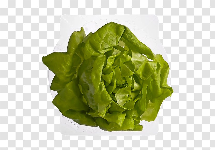 Romaine Lettuce Rijk Zwaan Red Leaf Vegetable - Vegetarian Cuisine - Spinach Transparent PNG