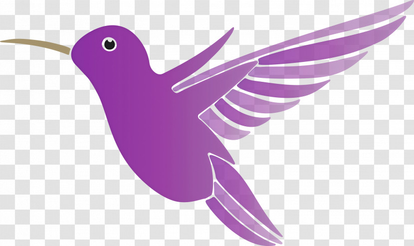 Hummingbird Transparent PNG